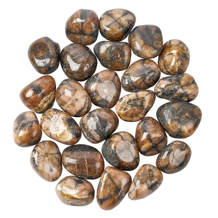 Chiastolite Tumblestone (1pc)