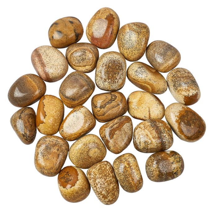 Picture Jasper Tumblestone (1pc)