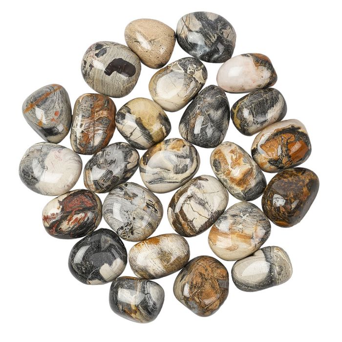 Silver Leaf Jasper Tumblestone (1pc)