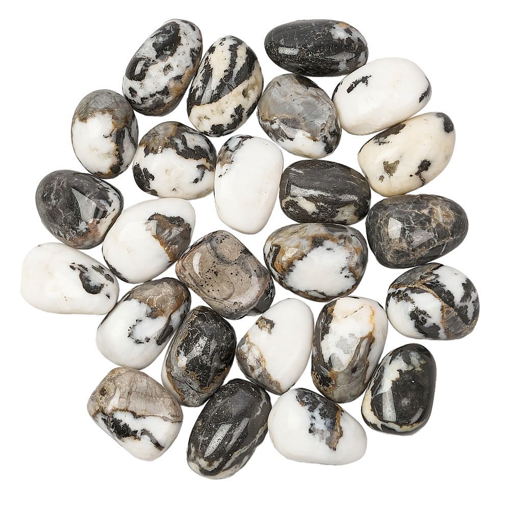 Zebra Agate Tumblestone (1pc)