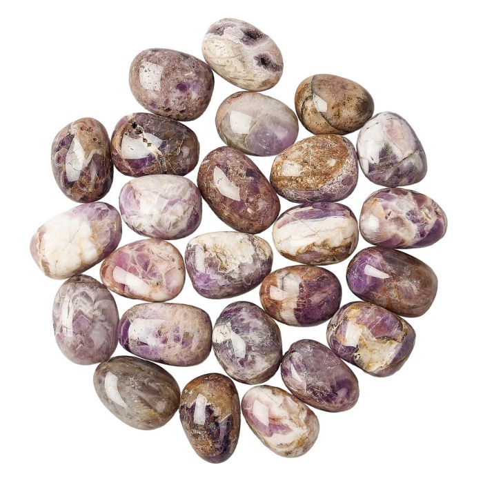 Dog Tooth Amethyst Tumblestone (1pc)