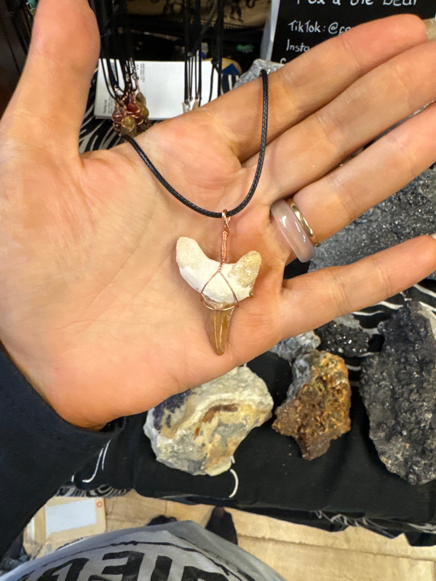 Fossil Mikes Shark Tooth Necklaces