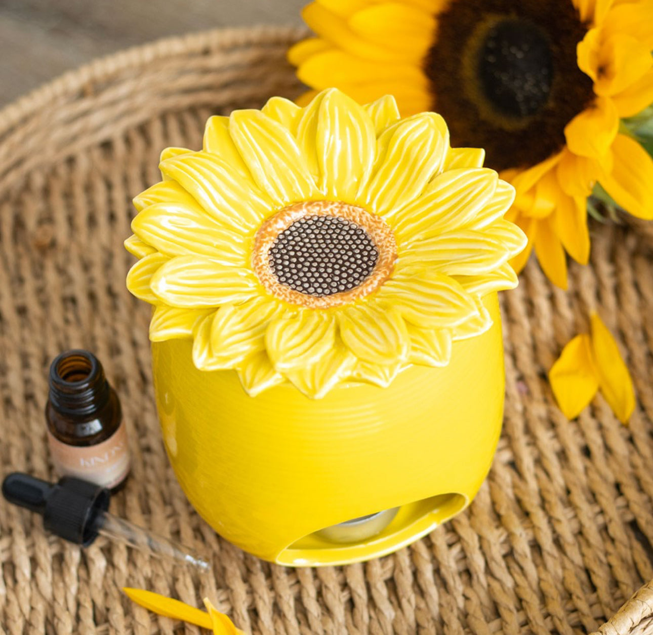 Sunflower Oil Burner/Wax Warmer