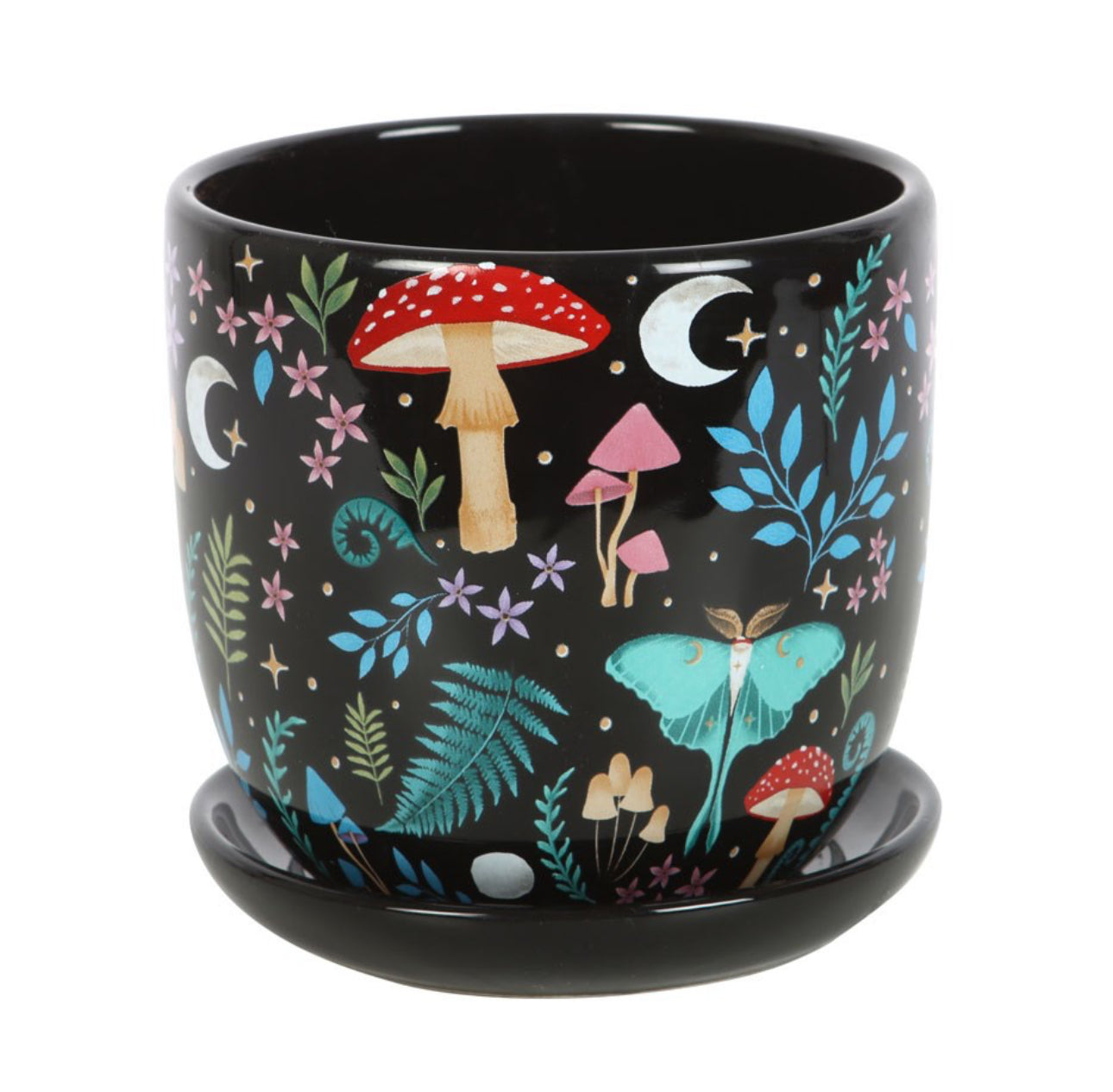 Dark Forest Plant Pot & Saucer