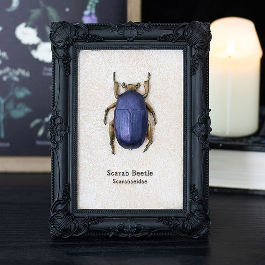 Scarab Beetle Framed Wall Art