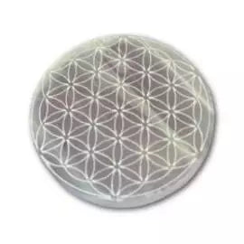 Selenite Charging Plates