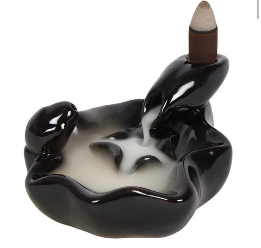 Pool to Pool Backflow Burner