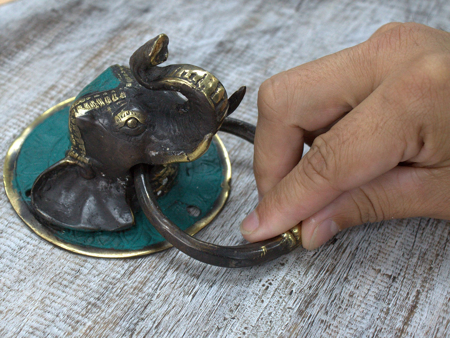 Brass Door Knocker (Variety)