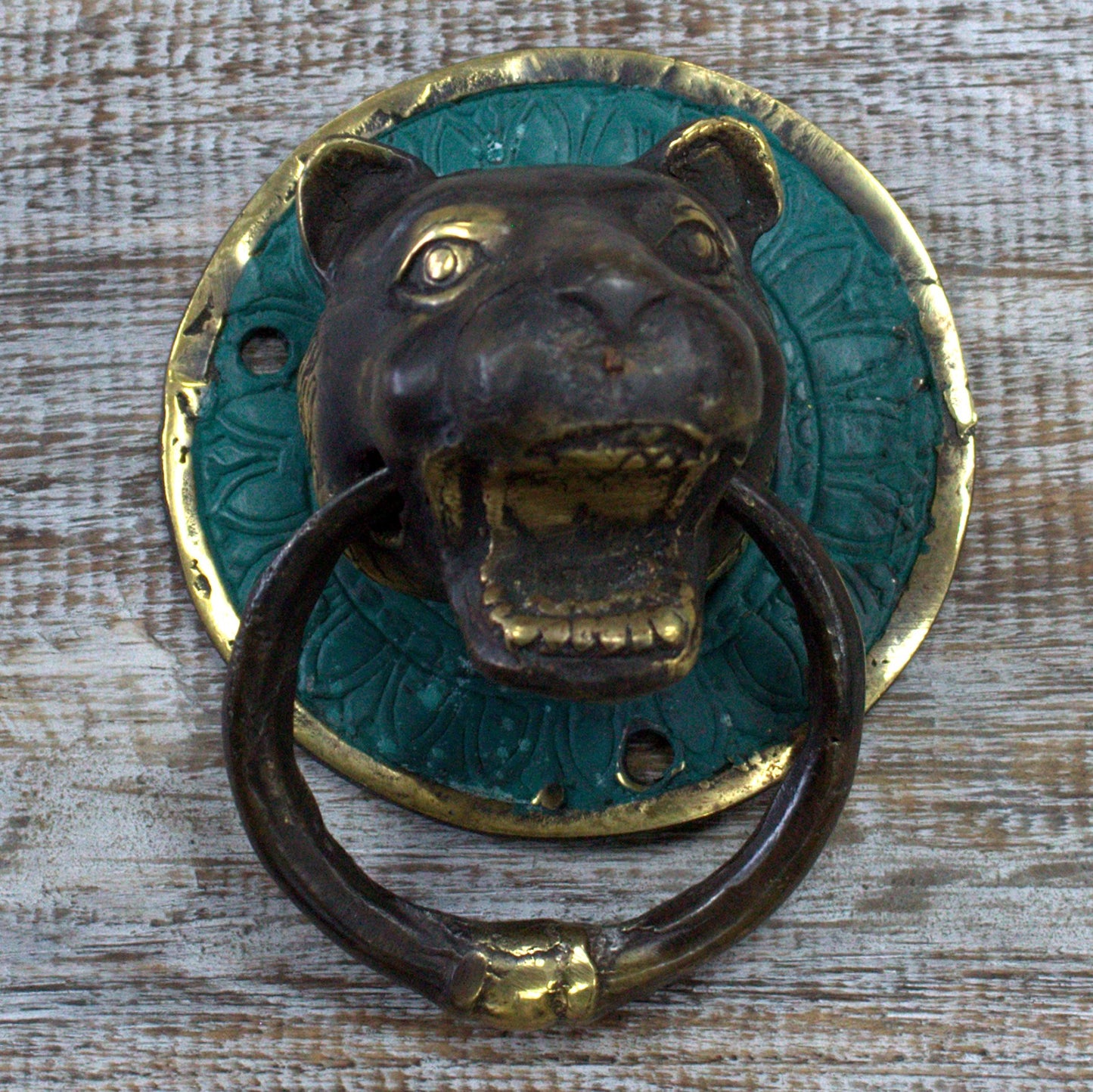 Brass Door Knocker (Variety)