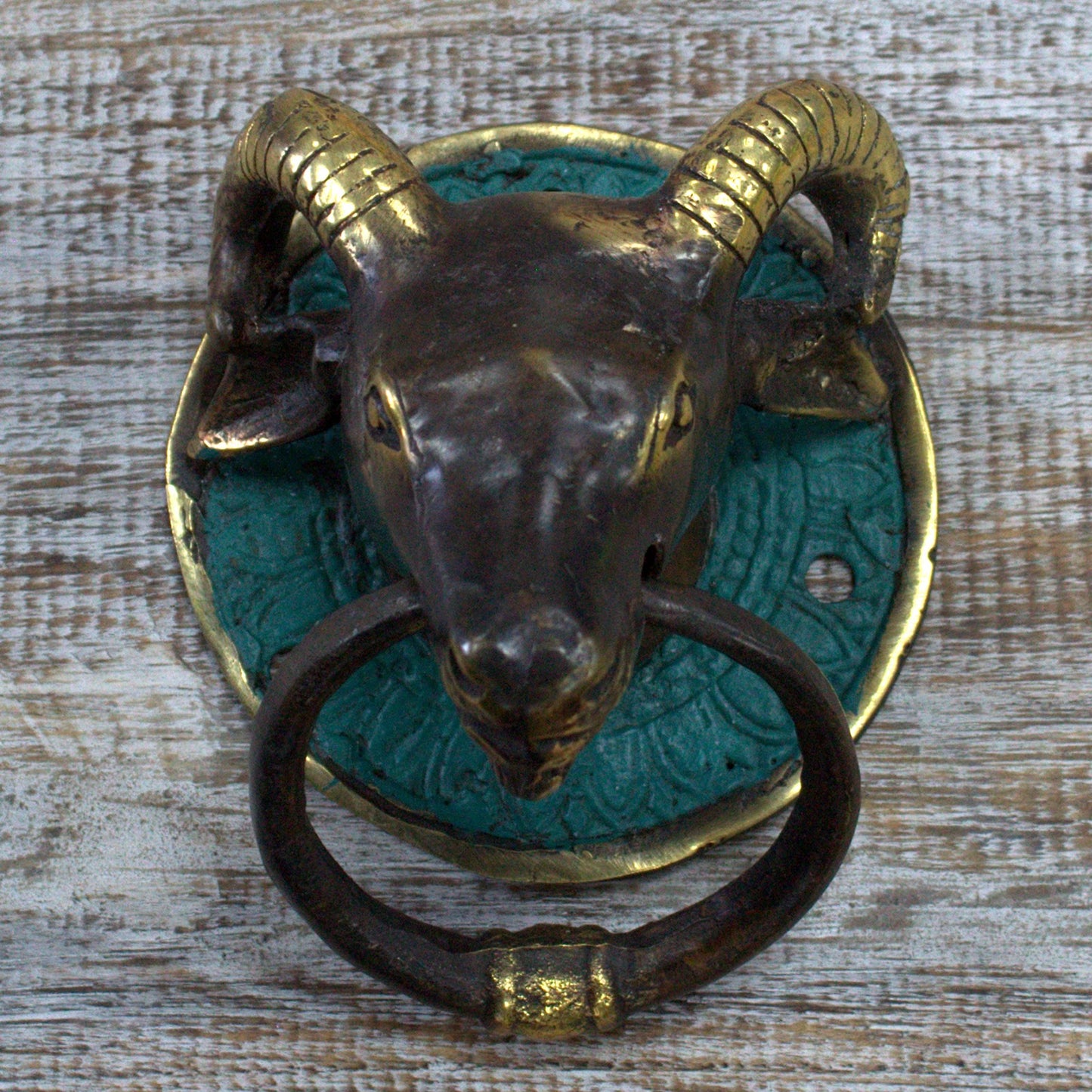 Brass Door Knocker (Variety)