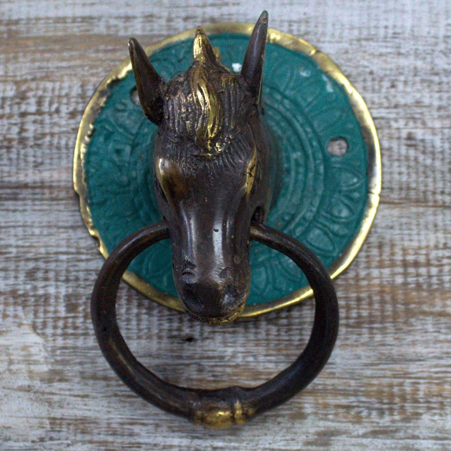 Brass Door Knocker (Variety)