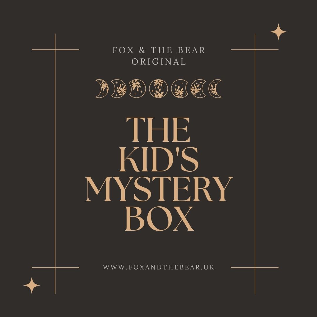 Fox & the Bear Kid’s Mystery Box