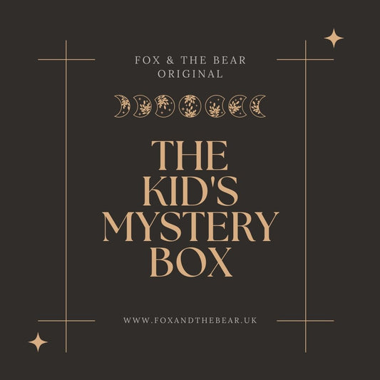 Fox & the Bear Kid’s Mystery Box