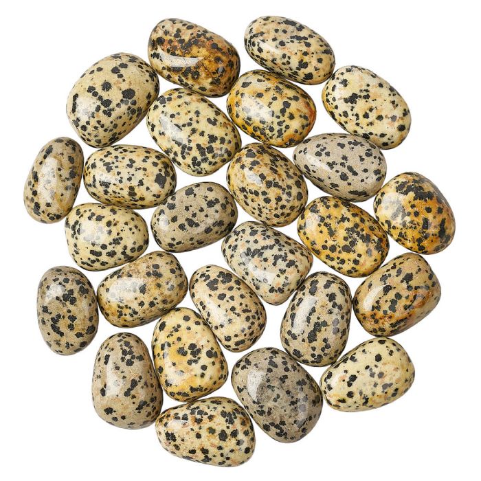 Dalmatian Jasper Tumblestone (1pc)