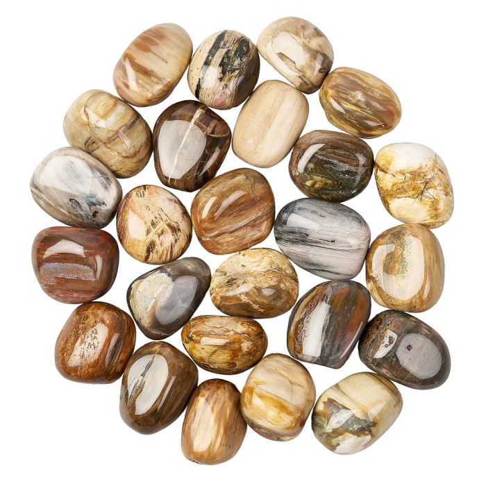 Petrified Wood Tumblestone (1pc)