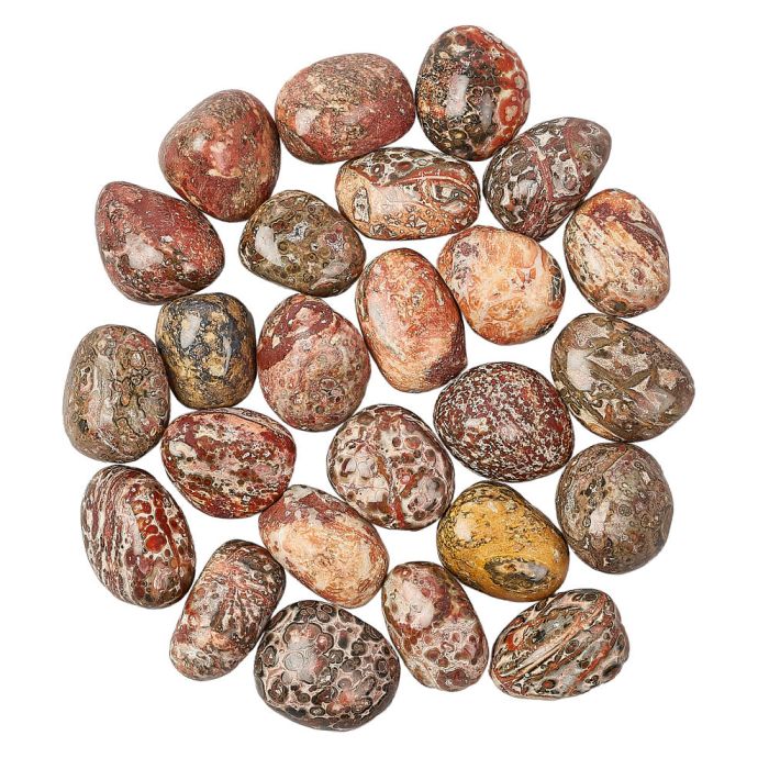 Leopard Skin Jasper Tumblestone (1pc)