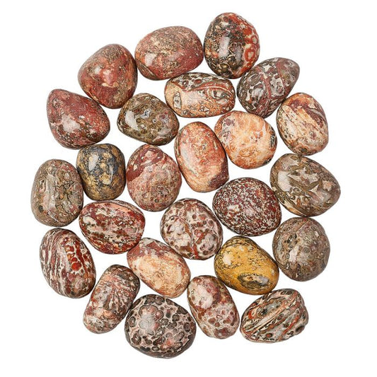 Leopard Skin Jasper Tumblestone (1pc)