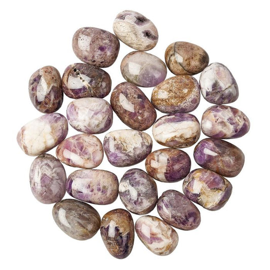 Dog Tooth Amethyst Tumblestone (1pc)