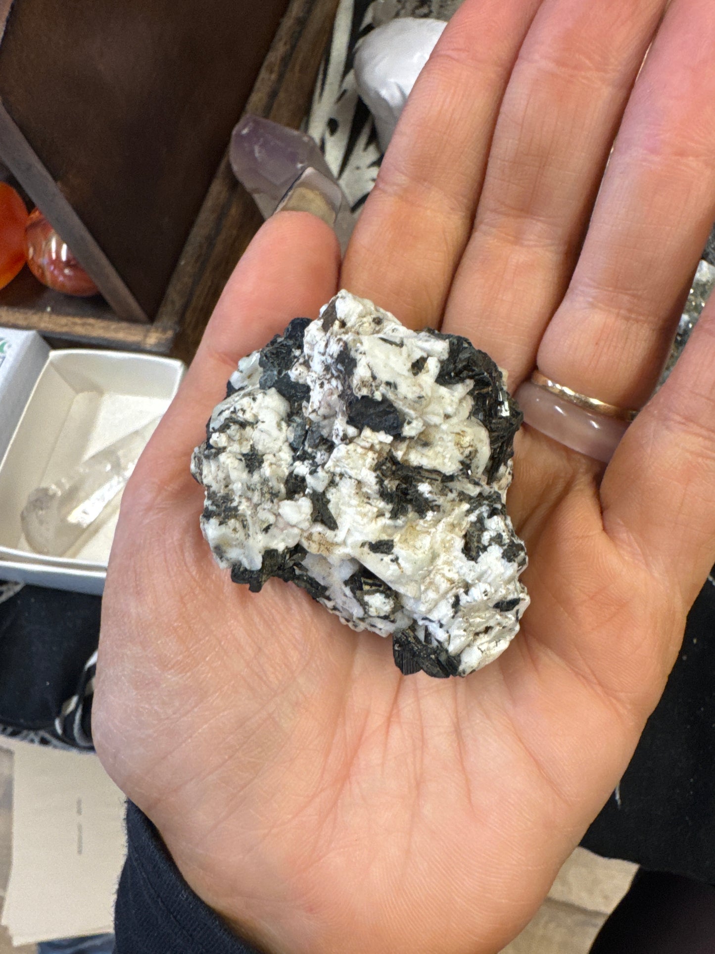 Tourmaline & Quartz Specimen