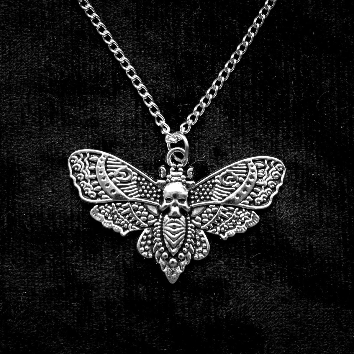 Moth Skull Necklace on 18” Chain