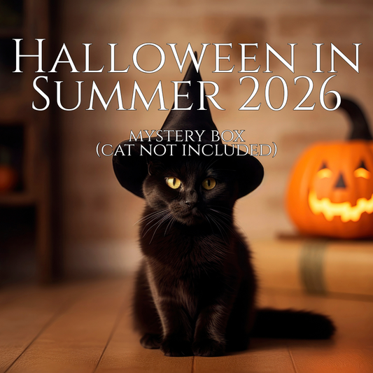Halloween in Summer Mystery Box
