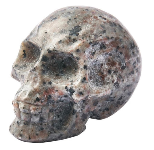 Yooperlite Skull 70mm