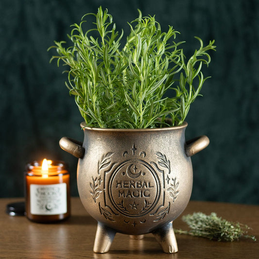 Herbal Magic Terracotta Cauldron Plant Pot