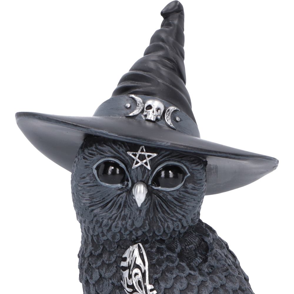Cult Cuties: Owlocen
