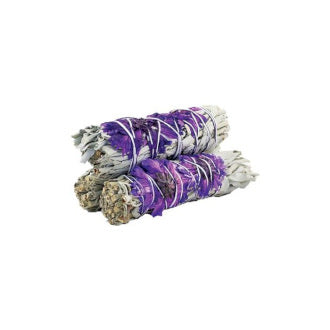 Purple Daze Sage 10cm